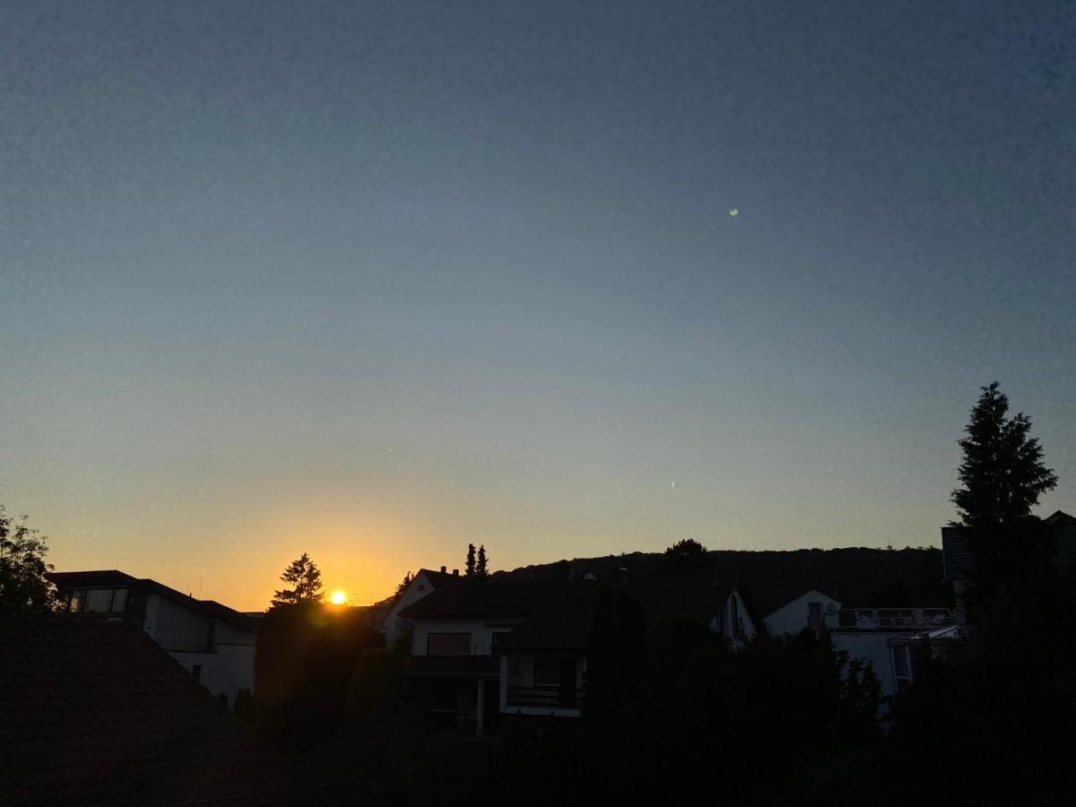 The Beverly Hills Of Frankfurt In Hofheim Penthouse Or Garden Esterno foto
