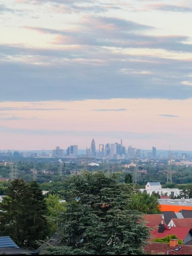 The Beverly Hills Of Frankfurt In Hofheim Penthouse Or Garden Esterno foto